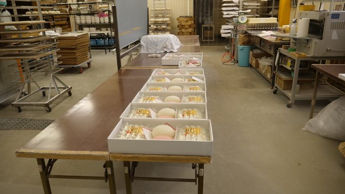 P1455578.JPG