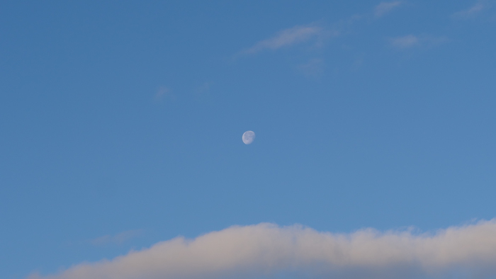 P1477034.JPG