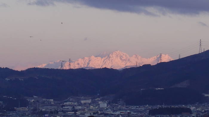 DSC01378.JPG