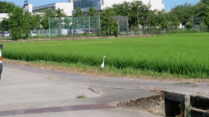 P1144365_R.JPG
