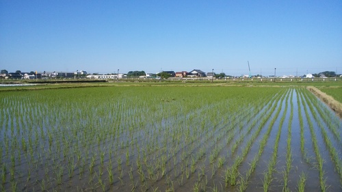 水回り風景.jpg