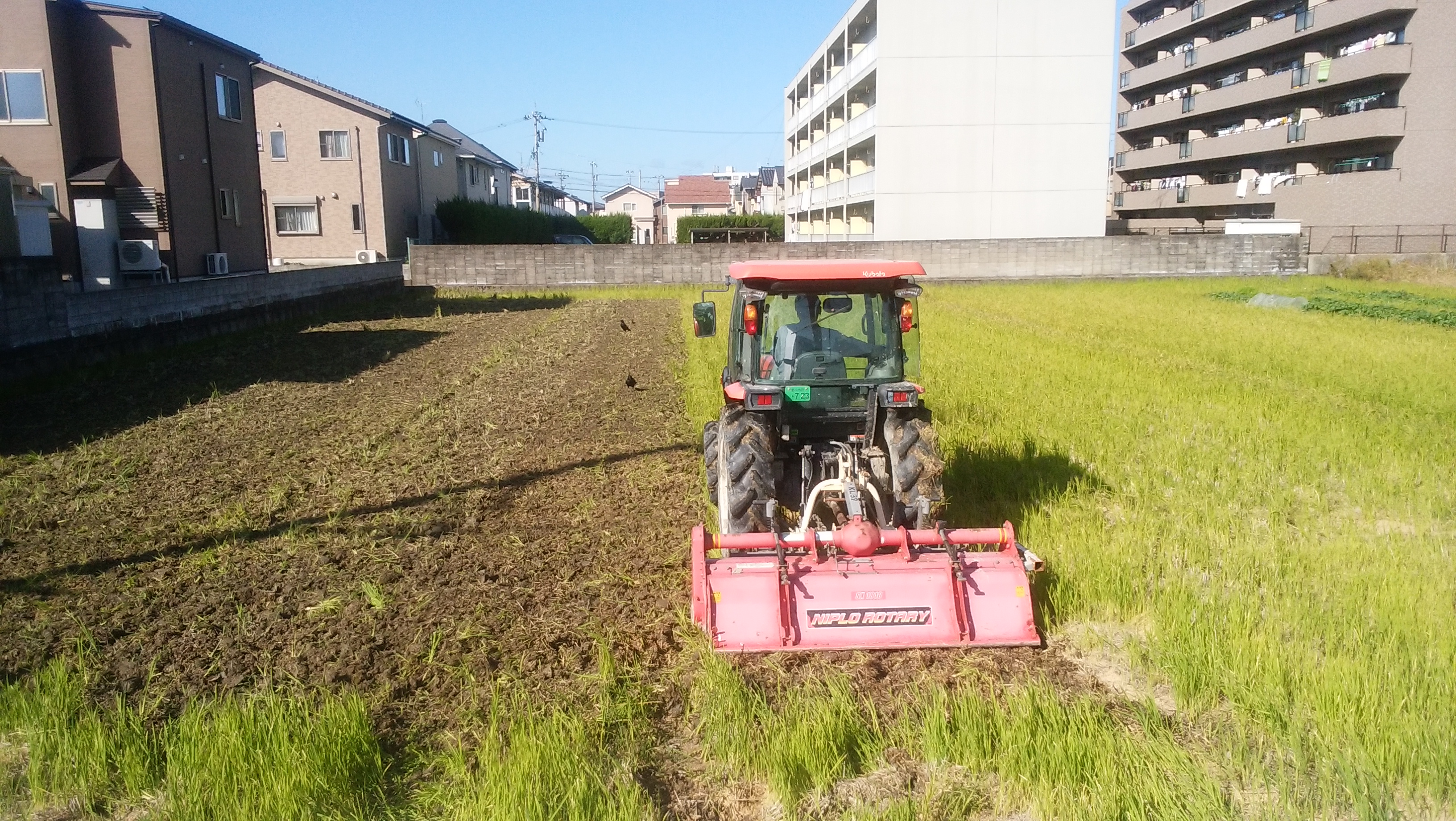 大特免許を取ろう