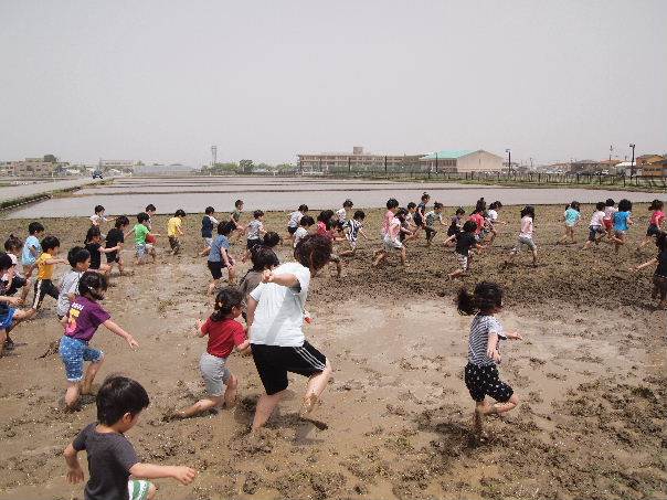 藤陰幼稚園代掻き