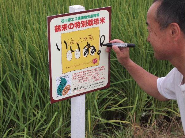 ほっこめ特別栽培米