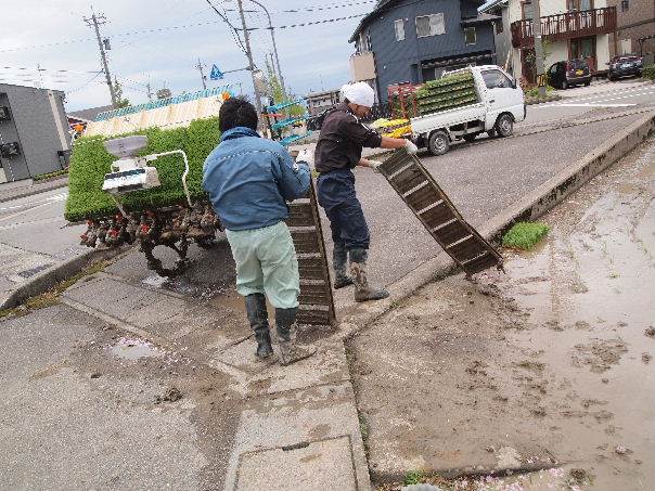 田植え"