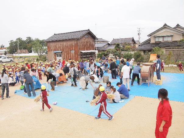 とくの幼稚園足踏み脱穀