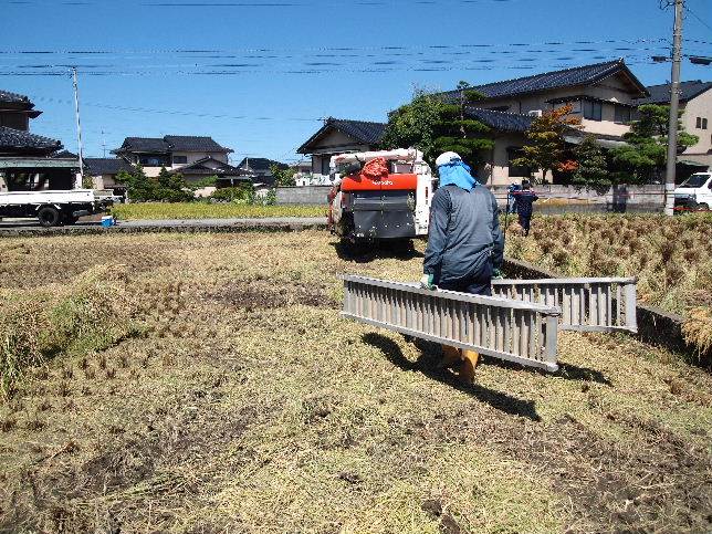 金沢市有松地区の稲刈りです