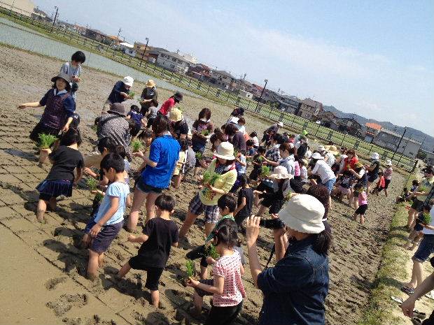 藤陰幼稚園