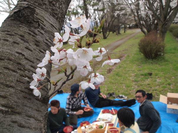 花見