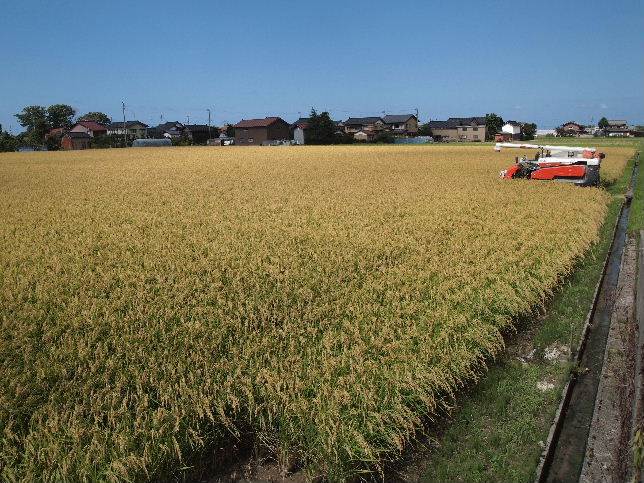 3反田3枚、、広い!