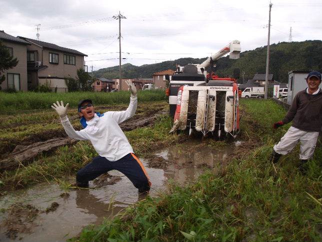 深い田んぼ