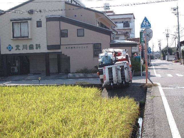 ラグナセカ・コークスリュー