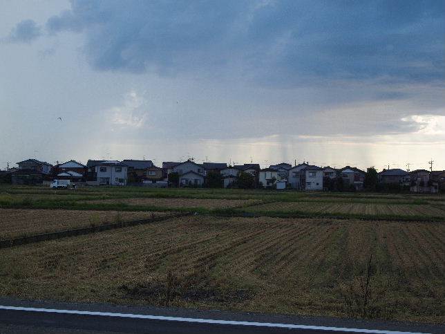 ゲリラ豪雨の柱が何本も