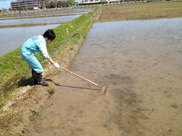 浮きワラ