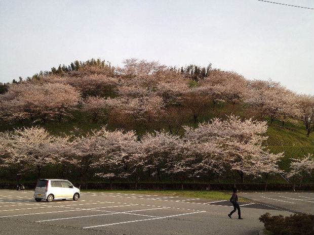 高尾山