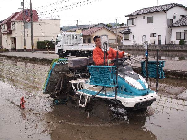 田植え