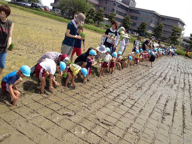 とくの幼稚園