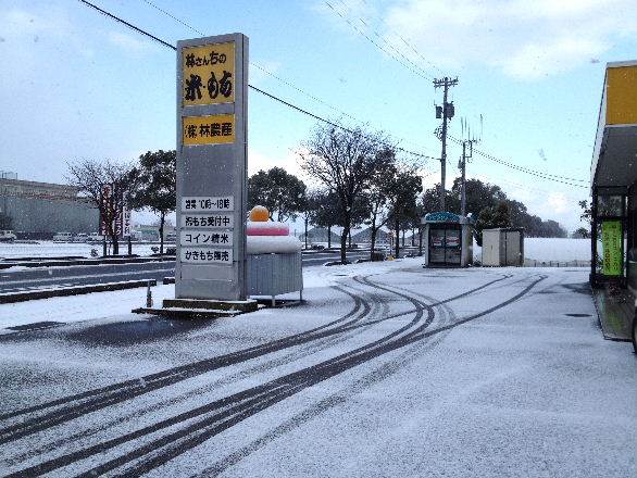 春の雪