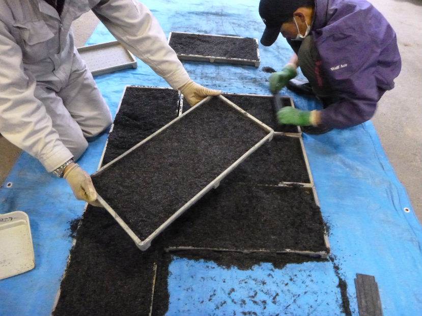 自然栽培米用床土