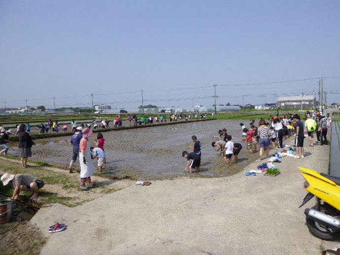 富陽小田植え