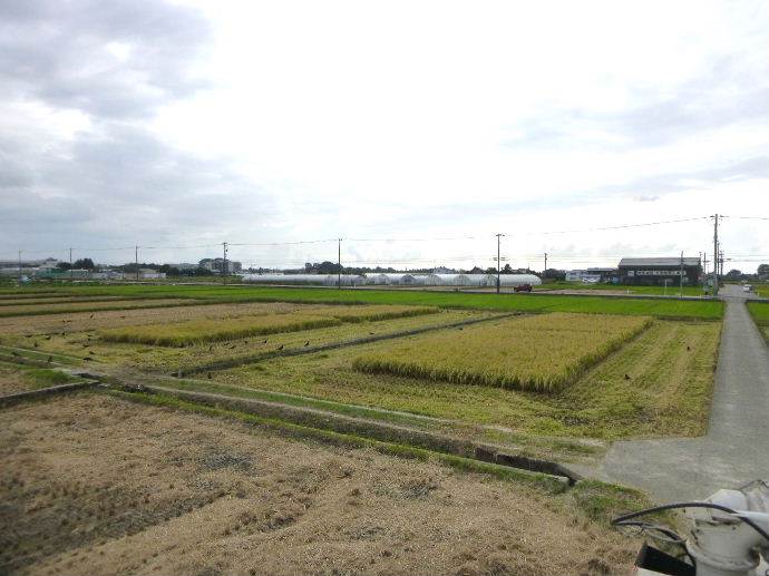 富陽小学校田