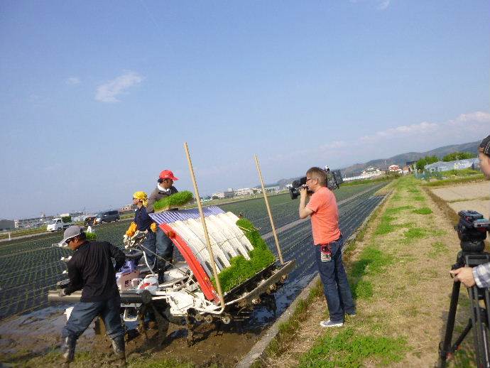 紙マルチ田植え