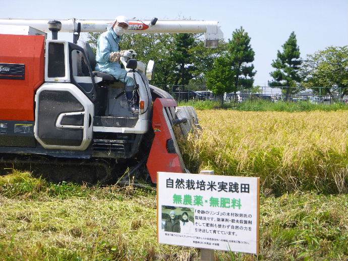 自然栽培米