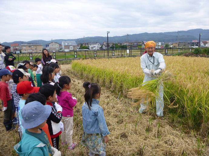 白銀幼稚園