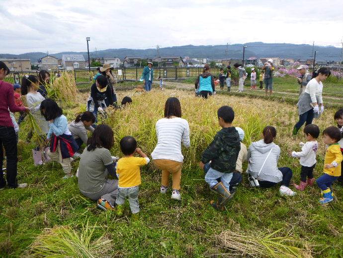 白銀幼稚園