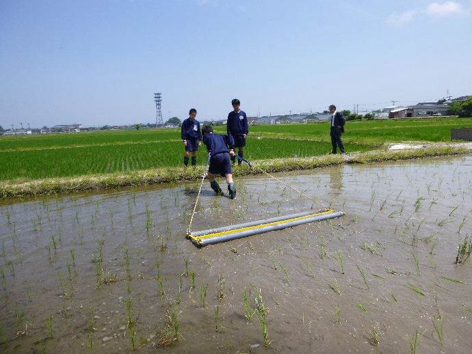 自然栽培米チェーン除草