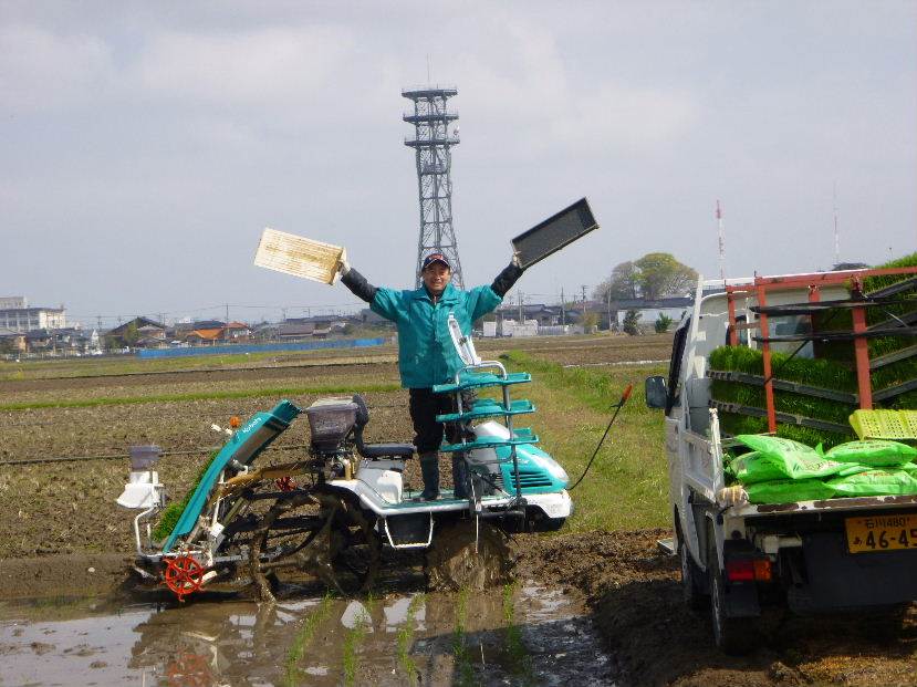 田植え