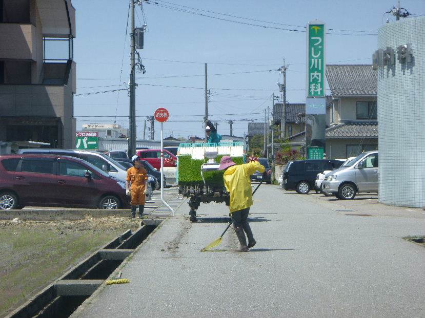 田植え