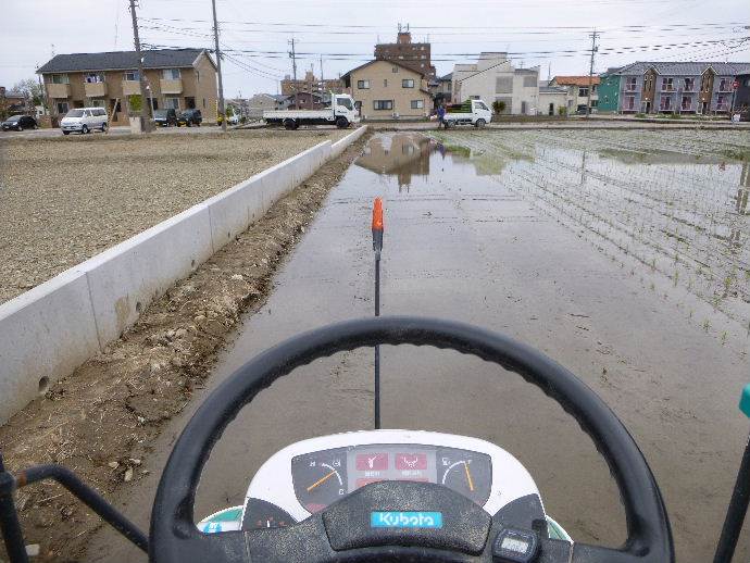 田植え