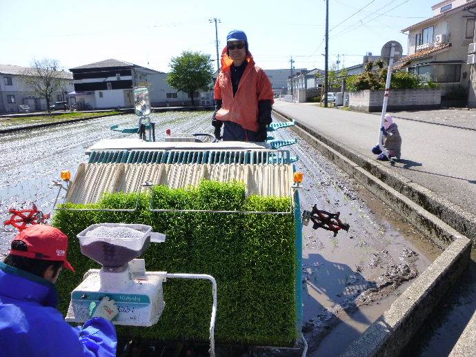 田植え