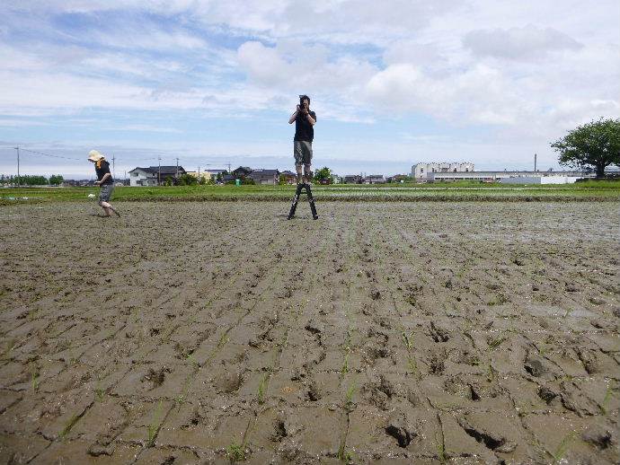 とくの幼稚園田植え