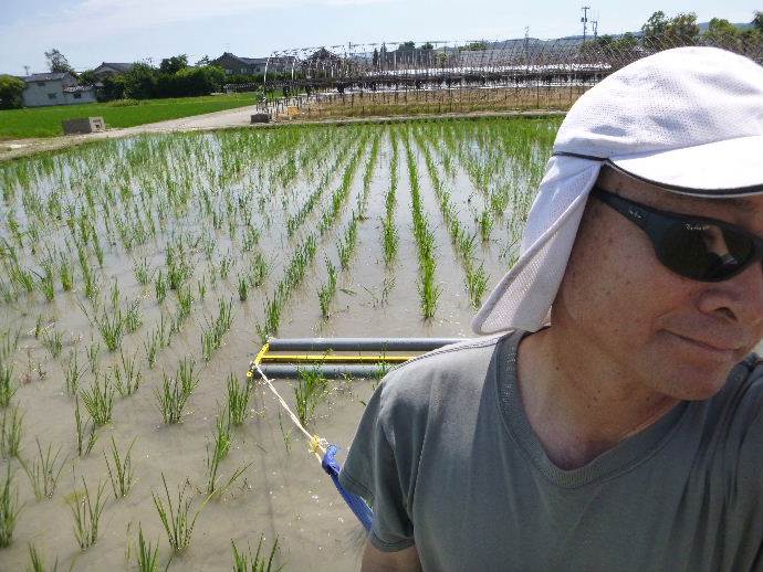 チェーン除草