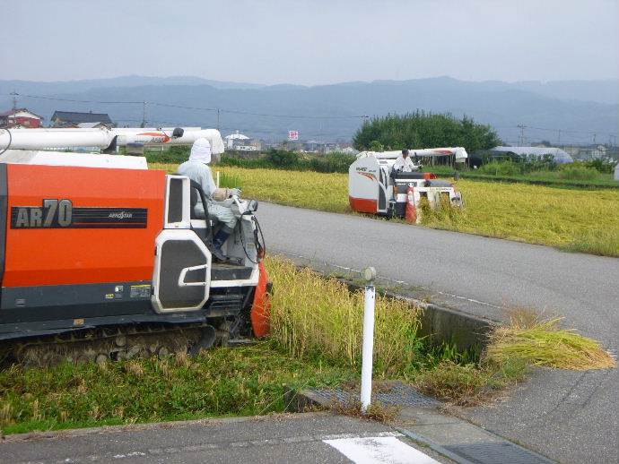 超普通じゃないコシヒカリ