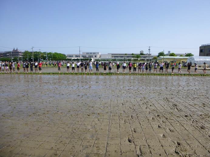 富陽小学校