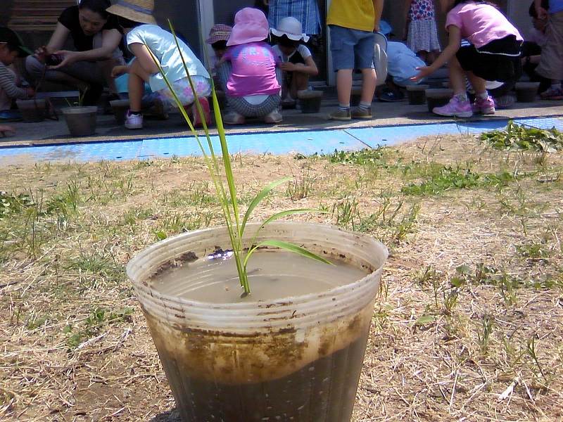 扇が丘幼稚園