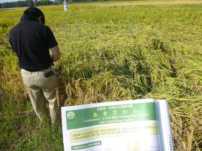 石川県農業試験場