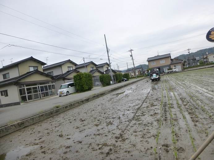 田植え額新保