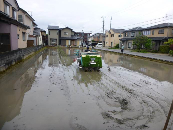 馬替高橋