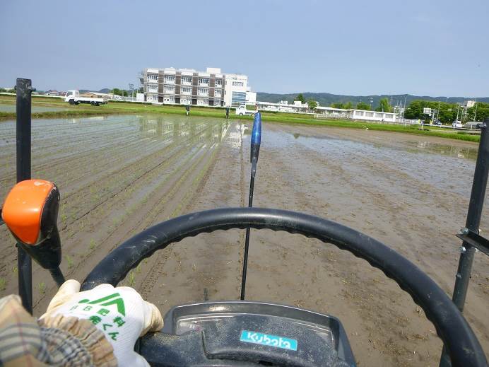 田植え