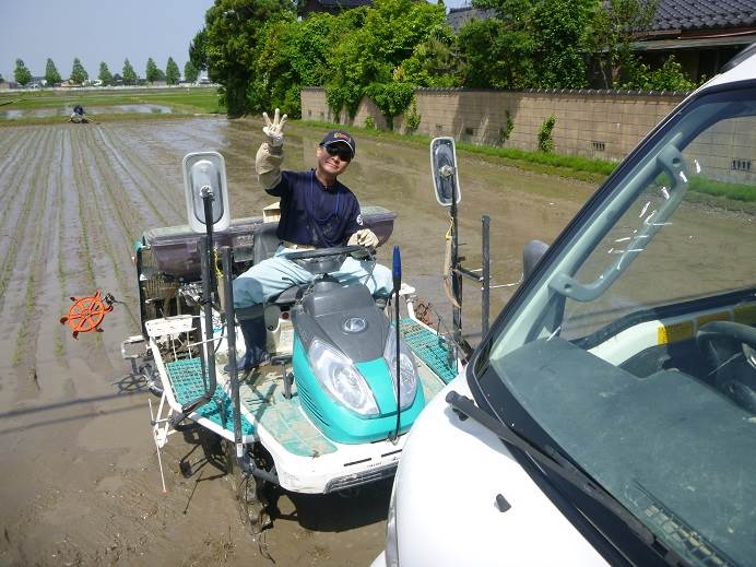 田植えミルキー