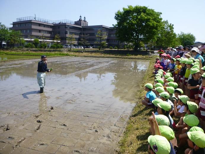 とくの幼稚園