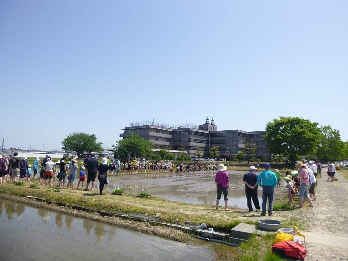 とくの幼稚園