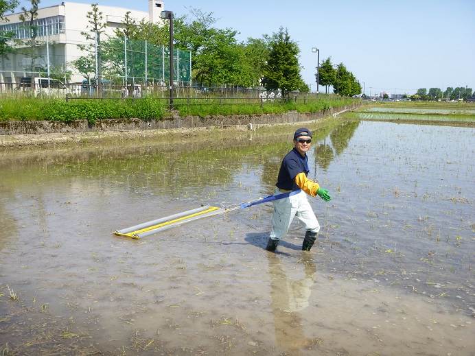 チェーン除草