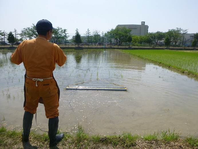 チェーン除草