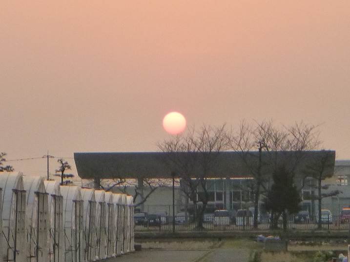 夕日