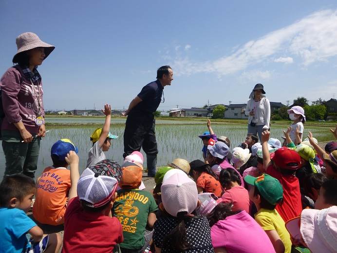 藤陰幼稚園